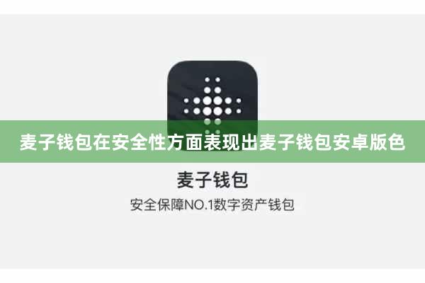 麦子钱包在安全性方面表现出麦子钱包安卓版色