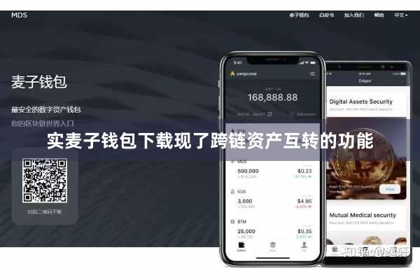 实麦子钱包下载现了跨链资产互转的功能