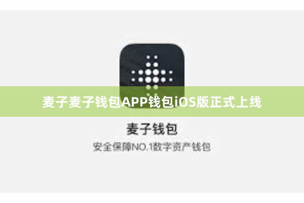 麦子麦子钱包APP钱包iOS版正式上线