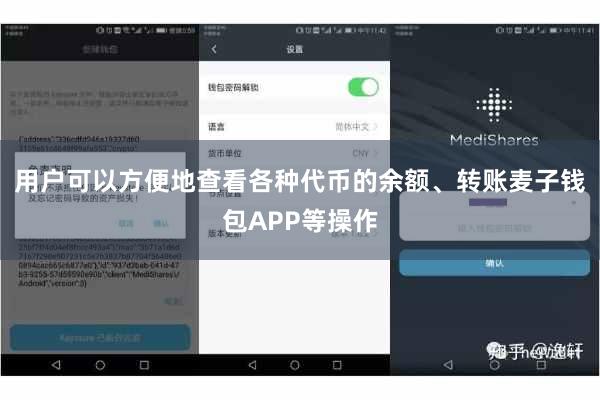 用户可以方便地查看各种代币的余额、转账麦子钱包APP等操作
