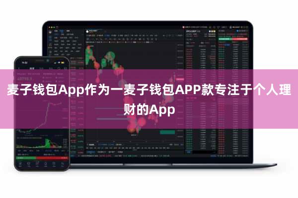 麦子钱包App作为一麦子钱包APP款专注于个人理财的App