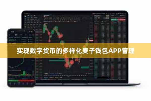 实现数字货币的多样化麦子钱包APP管理