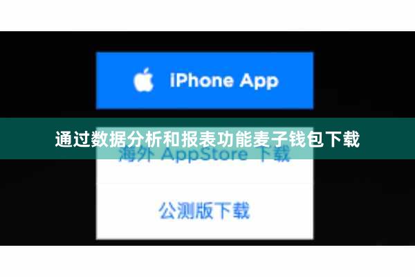 通过数据分析和报表功能麦子钱包下载