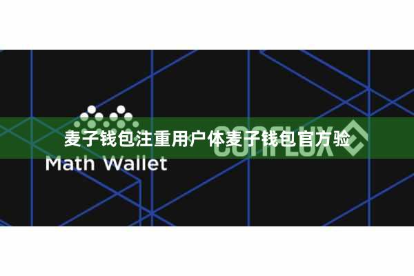 麦子钱包注重用户体麦子钱包官方验