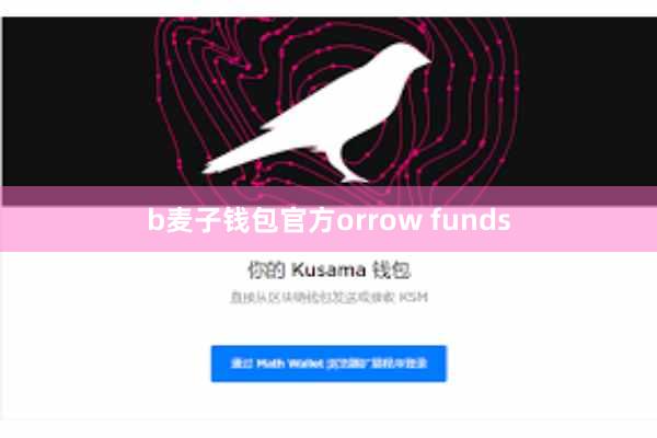 b麦子钱包官方orrow funds