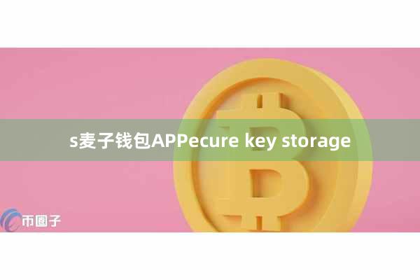 s麦子钱包APPecure key storage