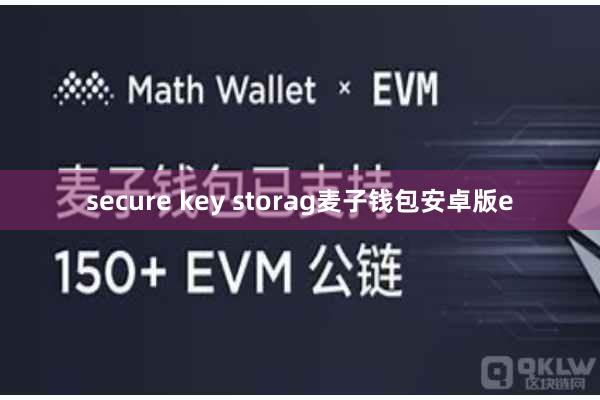 secure key storag麦子钱包安卓版e