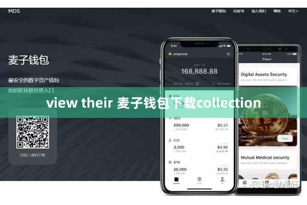 view their 麦子钱包下载collection