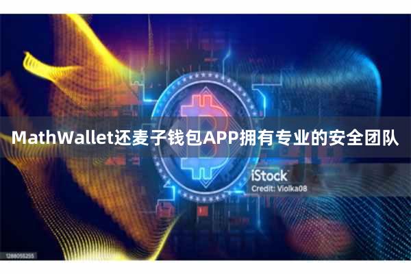MathWallet还麦子钱包APP拥有专业的安全团队