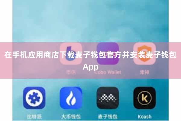 在手机应用商店下载麦子钱包官方并安装麦子钱包App