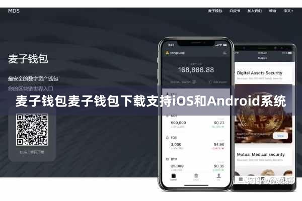 麦子钱包麦子钱包下载支持iOS和Android系统