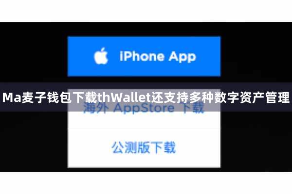 Ma麦子钱包下载thWallet还支持多种数字资产管理
